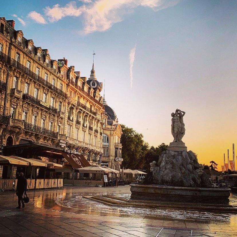 Le Cocon Montpellierain By Smartappart Montpellierain - Jardin Proche Corum Εξωτερικό φωτογραφία